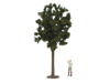 #G# Listnat strom * 40 cm