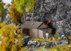 Stará Horolezecká chata