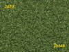 NaturexF-hrub*Bukov-Zelen0,1