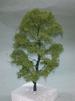 53/007 Listnatý Strom *15-18cm