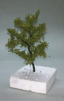 53/009 Listnatý strom * 9 cm*