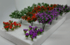 12xKríky kvitnú-3cm*20xKvety