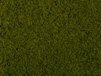 Foliage*Svetlo-Zelen*20x23cm