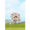 Ovocný strom-Kvitnúci  7,5cm