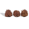 3ks Kr�ky - Jese� * 40mm