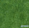 Divoká Tráva*6mm*Zelená Tmavá