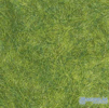 Divoká Tráva*6mm*Májová Zelená
