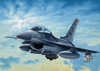 F-16 C_D Night Falcon