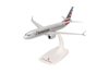 B737 Max 8 American Airlines